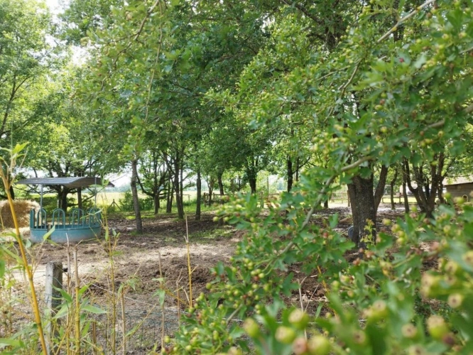 Photos 3 - Prestige - Propriété