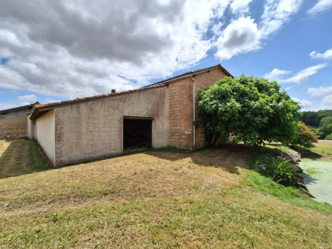 Photos 7 - Équestre - Haras / Equestre