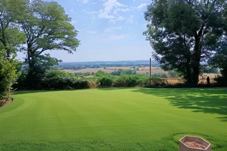 Photos 2 - Prestige - Maison