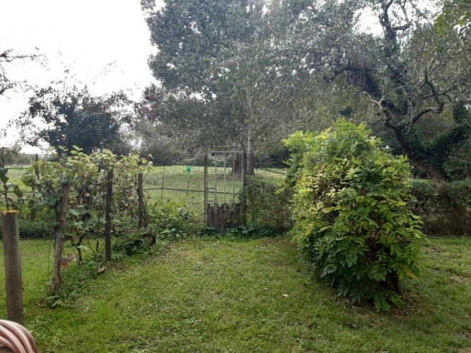 Photos 15 - Prestige - Maison