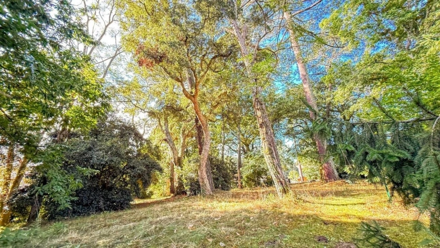 Photos 5 - Prestige - Propriété