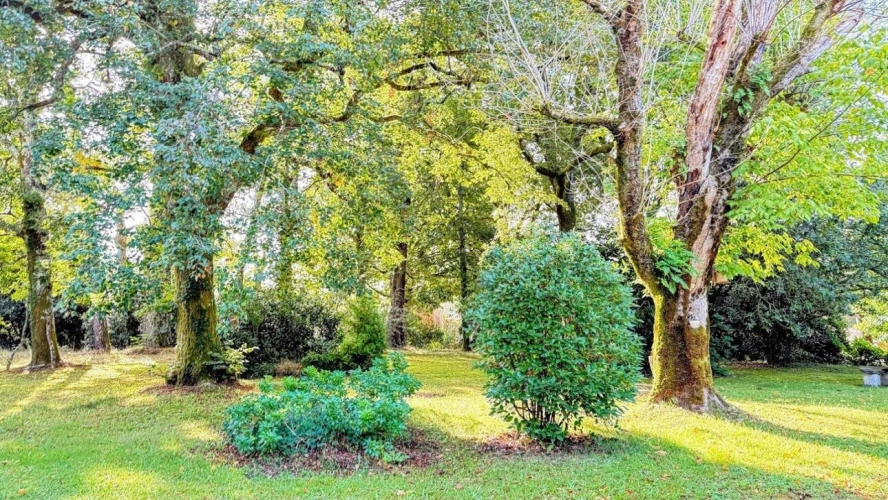 Photos 10 - Prestige - Propriété