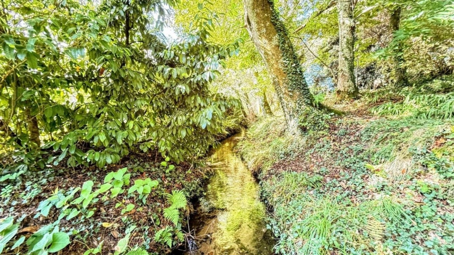 Photos 12 - Prestige - Propriété