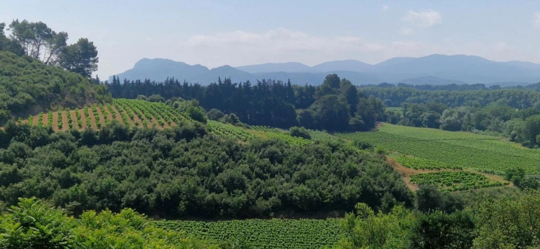 Photos 11 - Prestige - Maison