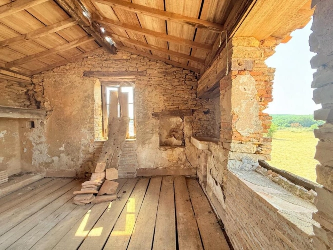 Photos 14 - Prestige - Propriété