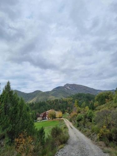 Photos 26 - Touristique - Propriété avec 11 hectares