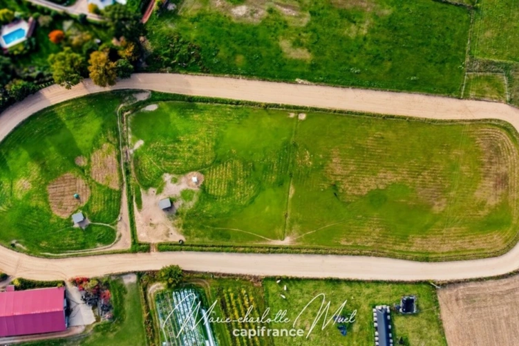 Photos 3 - Équestre - Propriété de 7ha avec deux habitations et nombreuses dépendances