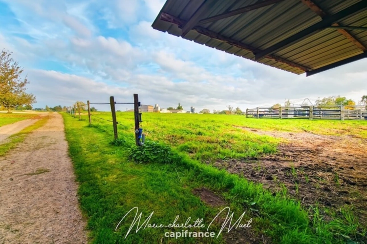 Photos 26 - Équestre - Propriété de 7ha avec deux habitations et nombreuses dépendances