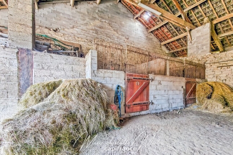 Photos 27 - Équestre - Propriété de 7ha avec deux habitations et nombreuses dépendances