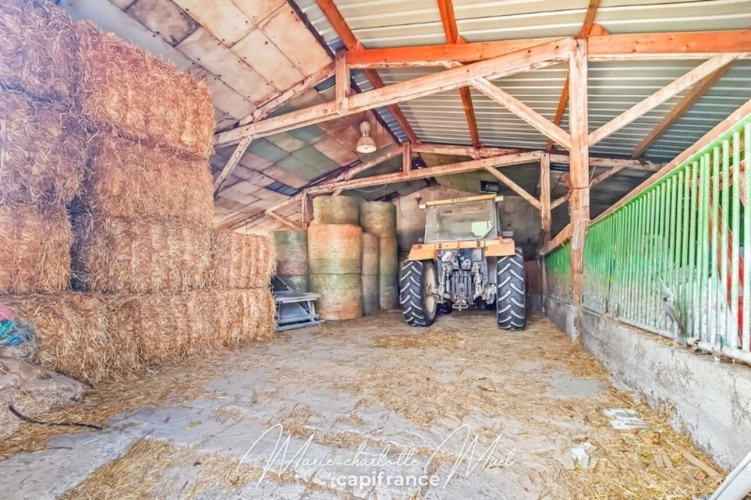 Photos 28 - Équestre - Propriété de 7ha avec deux habitations et nombreuses dépendances