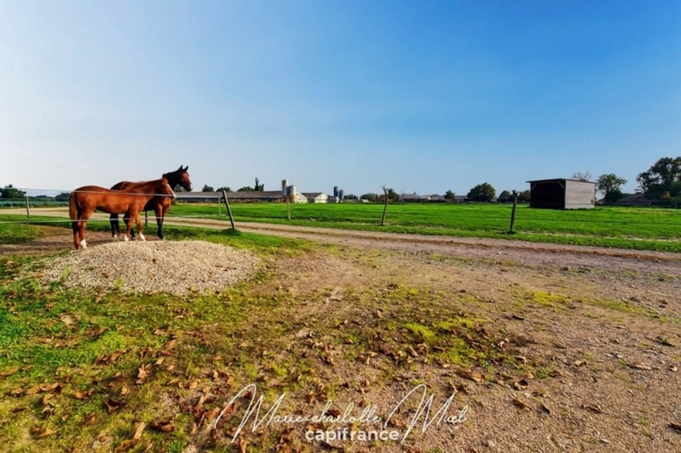 Photos 34 - Équestre - Propriété de 7ha avec deux habitations et nombreuses dépendances