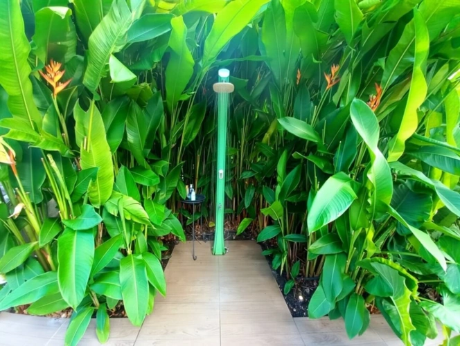 Photos 19 - Prestige - Propriété d'exception à vendre 4 pièces SAINT FRANCOIS (971)