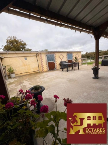Photos 2 - Équestre - Propriété équestre, Maison 130 M2, 2 hectares, boxes et carrières