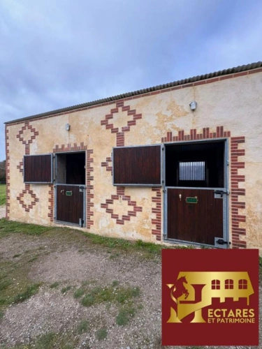 Photos 17 - Équestre - Propriété équestre, Maison 130 M2, 2 hectares, boxes et carrières