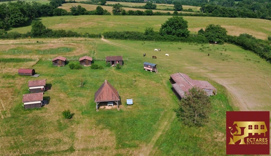 Photos 3 - Équestre - Domaine de 54 hectares