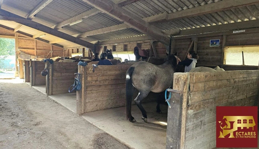 Photos 12 - Équestre - Domaine de 54 hectares