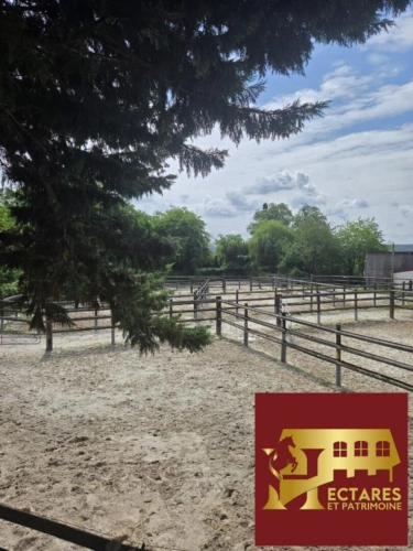 Photos 10 - Équestre - Domaine équestre à 25 kms de PARIS