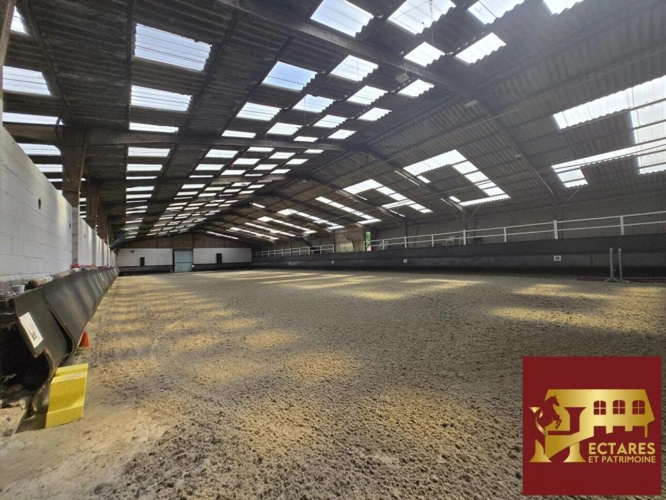 Photos 15 - Équestre - Domaine équestre à 25 kms de PARIS