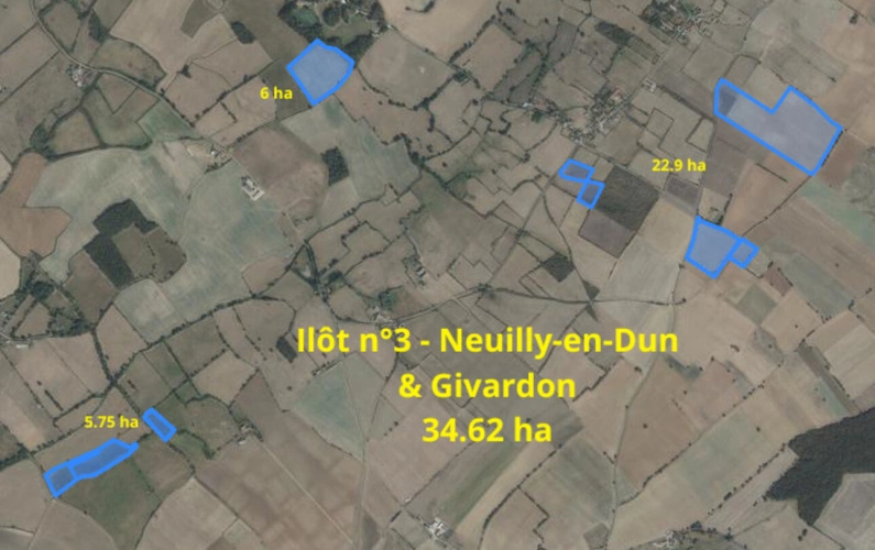 Photos 4 - Foncière - Terres agricoles à vendre dans le Cher   82 ha libres en exc