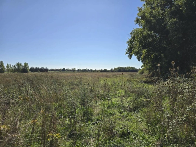 Photos 6 - Foncière - Terres agricoles à vendre dans le Cher   82 ha libres en exc