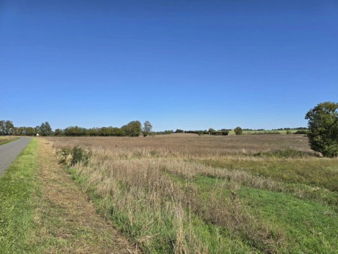 Photos 7 - Foncière - Terres agricoles à vendre dans le Cher   82 ha libres en exc