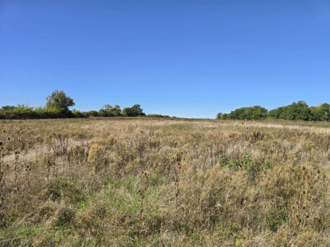 Photos 9 - Foncière - Terres agricoles à vendre dans le Cher   82 ha libres en exc