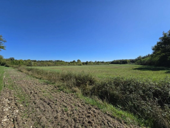Photos 9 - Touristique - Propriété agricole avec maisons, dépendances, prairies et te