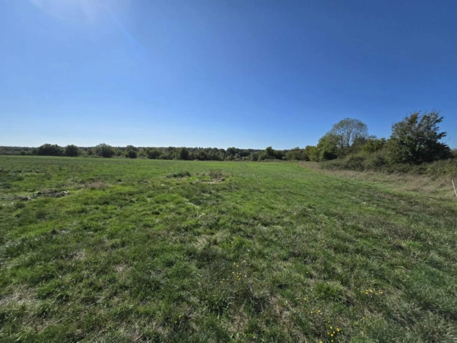 Photos 2 - Agricole - Propriété agricole de 82 hectares avec bâtiments et deux hab