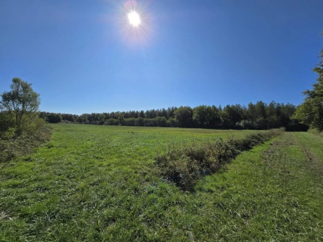 Photos 3 - Agricole - Propriété agricole de 82 hectares avec bâtiments et deux hab