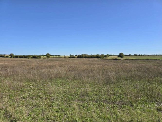 Photos 4 - Agricole - Propriété agricole de 82 hectares avec bâtiments et deux hab