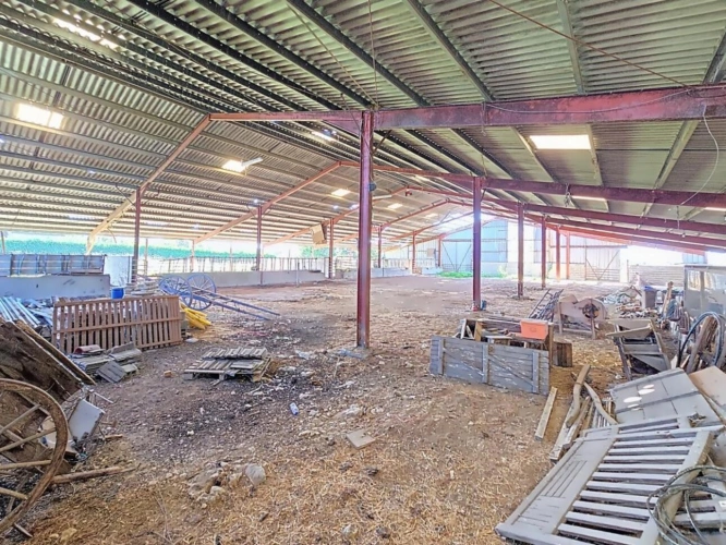 Photos 8 - Agricole - Propriété agricole de 82 hectares avec bâtiments et deux hab