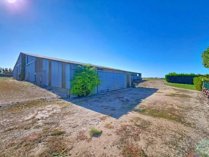 Photos 10 - Agricole - Propriété agricole de 82 hectares avec bâtiments et deux hab