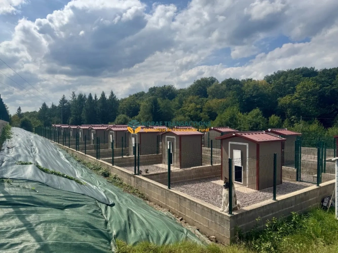 Photos 1 - Agricole - Élevage et pension canine réputés avec maison d’habitation