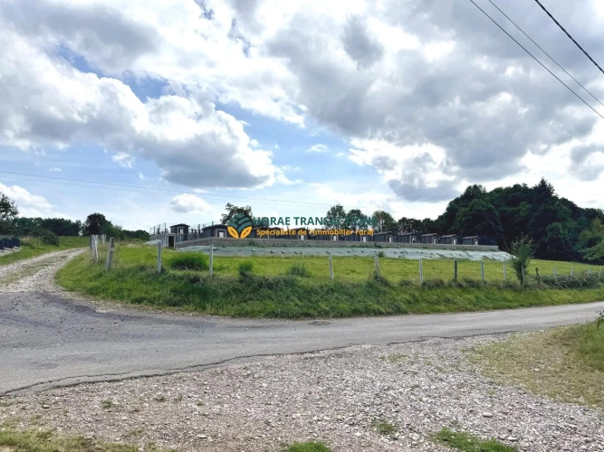 Photos 3 - Agricole - Élevage et pension canine réputés avec maison d’habitation