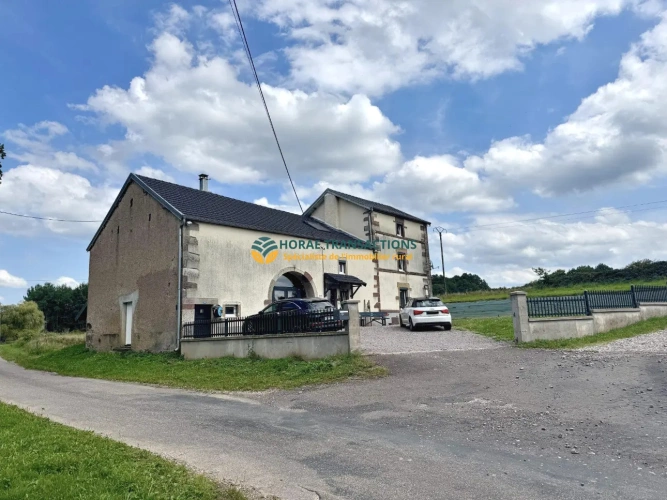 Photos 4 - Agricole - Élevage et pension canine réputés avec maison d’habitation