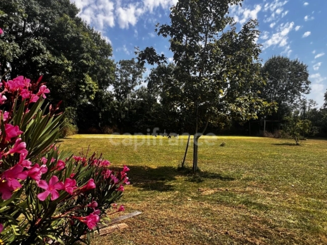 Photos 5 - Touristique - Propriété de 3 maisons dans un cadre bucolique avec plus de 3 hectares - à 20min de LA ROCHELLE