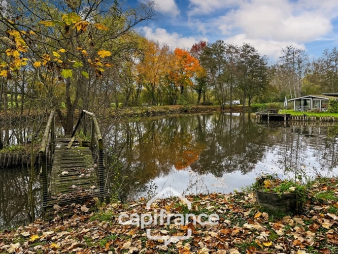 Photos 3 - Foncière -  Terrain de loisirs avec étang – 11 110 m² – Maigné