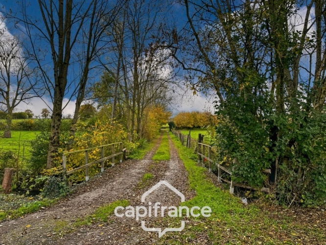 Photos 6 - Foncière -  Terrain de loisirs avec étang – 11 110 m² – Maigné