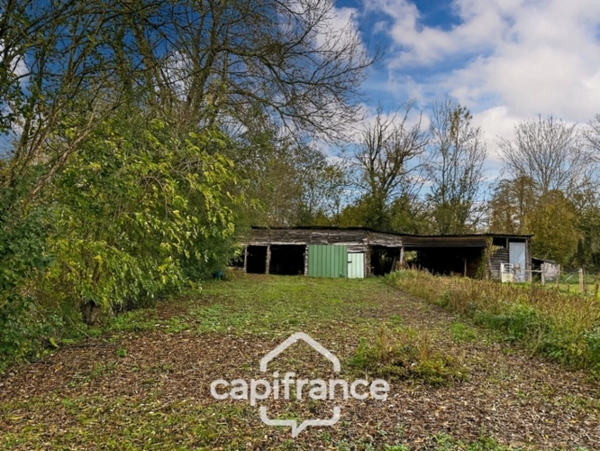 Photos 7 - Foncière -  Terrain de loisirs avec étang – 11 110 m² – Maigné