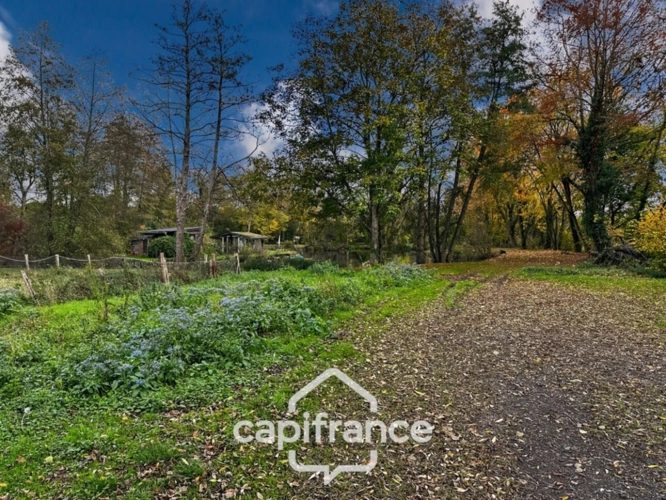 Photos 9 - Foncière -  Terrain de loisirs avec étang – 11 110 m² – Maigné