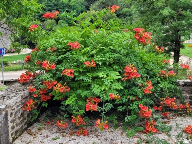 Photos 7 - Touristique - Propriété /gîtes/ chambre d'hôtes et grand terrain à St Sernin du Plain