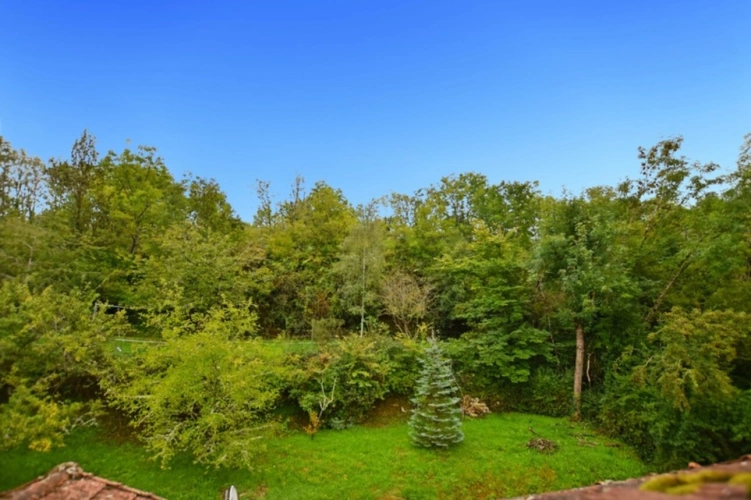 Photos 17 - Touristique - Propriété /gîtes/ chambre d'hôtes et grand terrain à St Sernin du Plain