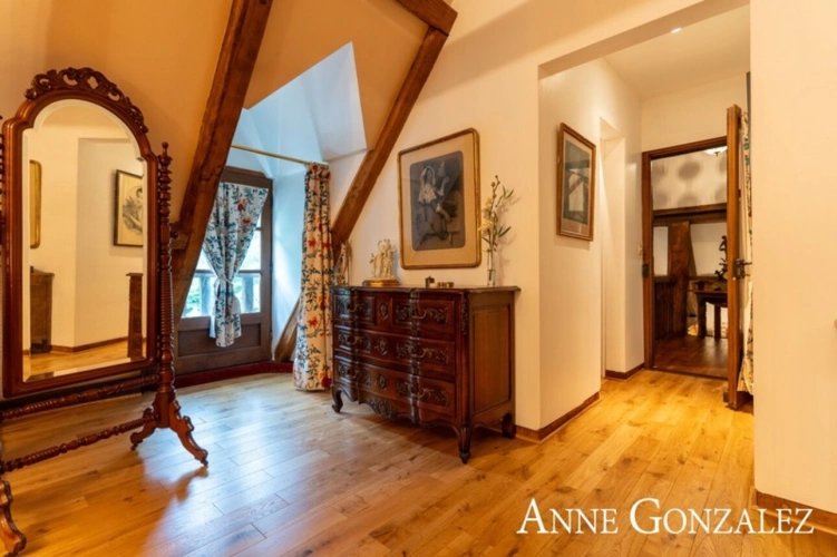 Photos 7 - Prestige - Propriete à vendre 9 pièces ARDON (45)