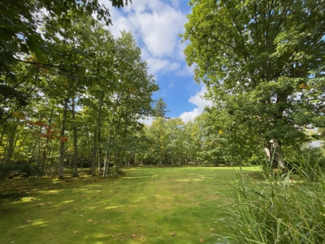 Photos 4 - Prestige - Magnifique Château rénové avec un cadre exceptionnel