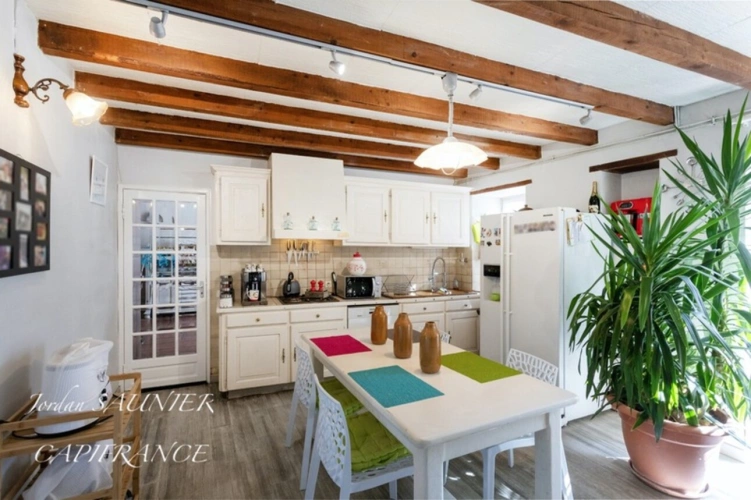 Photos 7 - Touristique - Dpt Haute Garonne (31), à vendre proche de CARAMAN propriete P22 de 375 m² - Terrain de 9 000 m²