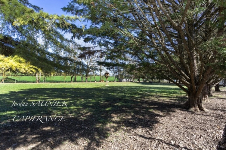 Photos 28 - Touristique - Dpt Haute Garonne (31), à vendre proche de CARAMAN propriete P22 de 375 m² - Terrain de 9 000 m²