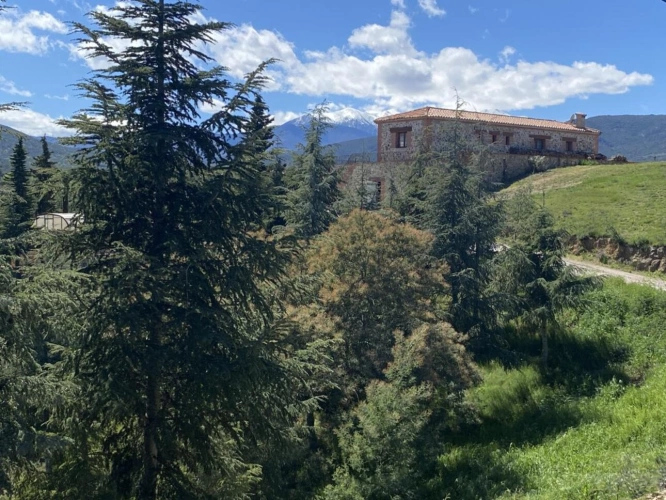 Photos 1 - Prestige - Propriété