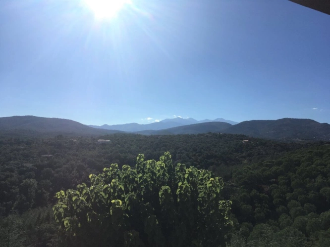 Photos 7 - Prestige - Domaine