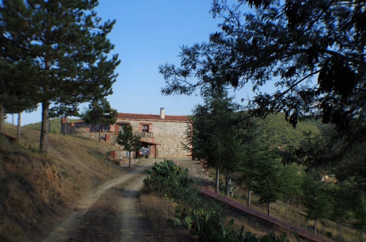 Photos 14 - Prestige - Domaine