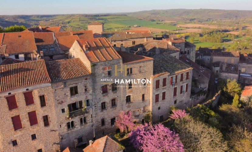 Photos 2 - Prestige - Demeure de ville et village